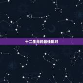 十二生肖的最佳配对，十二生肖配对，男狗配哪个最好？