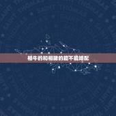 相牛的和相猪的能不能婚配，属猪的与属牛的人在一起般配吗？