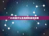85年属什么生肖婚配最终结果，93年生的人和属什么生肖的相配