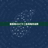 董易奇2021十二生肖每月运势，2021十二生肖的全年运势