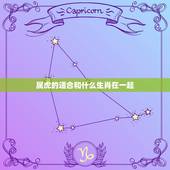 属虎的适合和什么生肖在一起，属虎和什么生肖最合