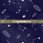 十二生肖年龄表2019，十二生肖排序年龄2019