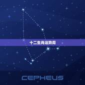 十二生肖运势周，十二生肖之本周运势最好的生肖有哪些