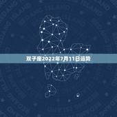 双子座2022年7月11日运势，2022年双子座每月运势