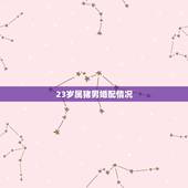 23岁属猪男婚配情况，属猪的男人和属什么的女人最相配