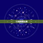 12生肖怎么排，12生肖排名