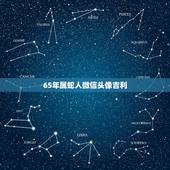 65年属蛇人微信头像吉利，属蛇女微信头像图片
