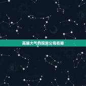 高端大气的投资公司名称，高端大气的投资公司名称大全