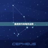 属虎的今年每月运势，2013属虎的运程怎么样？2013属虎每月运势如何