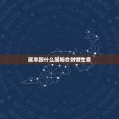 属羊跟什么属相合财做生意，做生意属相合财