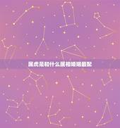 属虎是和什么属相婚姻最配，属虎的最佳配对属相是什么？