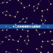 十二月的兔婚配什么属相好，十二月份出生属兔的属相婚配表示