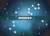 属狗婚配禁忌，属相属狗的婚配什么属相最好