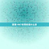 属兔1987年男的是什么命，87年属兔属兔的是什么命