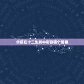 华丽在十二生肖中形容哪个属相，锦衣夜行，在十二生肖中形容的是哪个生肖？