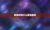 属猪的和什么属相最配，男属猪的和什么属相最配