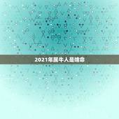 2021年属牛人是啥命，2021年出生的属牛的人命好吗？