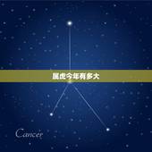 属虎今年有多大，2022 年属虎多大