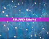 属猴上等婚配属相合不合，属猴的人和属什么的不合