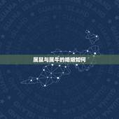 属鼠与属牛的婚姻如何，女属鼠和男属牛的婚姻
