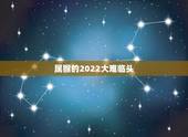 属猴的2022大难临头，属猴的人2023年的运气怎么样