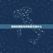 狼珠的婚配年龄的标记是什么，狼蛛介绍
