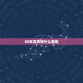 88年龙男和什么最配，88龙男和什么生肖最配
