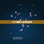 1976属龙人的幸运数字，1976年属龙人幸运数字
