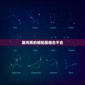 属鸡男的婚配属相合不合，属鸡婚配表，鸡男跟什么属相最配