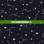 身长腿短的属相是什么，身长脚短是什么生肖