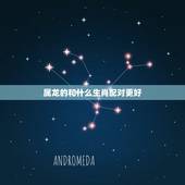 属龙的和什么生肖配对更好，属龙人2022 年的运势及运程