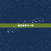 属牛生于十一月，2022 金牛年11月出生宝宝