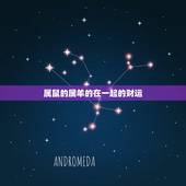 属鼠的属羊的在一起的财运，羊和属做夫妻好不好