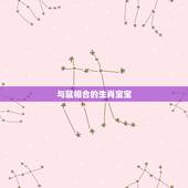 与鼠相合的生肖宝宝，鼠妈妈生什么属相更好