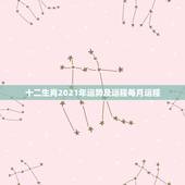 十二生肖2021年运势及运程每月运程，2021年十二生肖运程