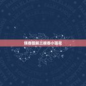 烧香图解三根香小莲花，烧香五个香三个像莲花两个一样快什么意思