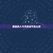 属鼠的人今天的运气怎么样，属鼠人2022 年下半年运势如何