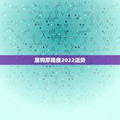 属狗摩羯座2022运势，属羊2022 年运势及运程属羊人2022 全年运势