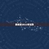紫微算2022年运势，2022年紫微流年运程