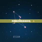 鸡和龙的婚配属相好吗，属鸡的属相婚配龙属相的生什么孩子好