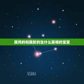 属鸡的和属蛇的生什么属相的宝宝，男属鸡，女属蛇生什么属相的孩子好