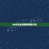 90年马女和猪男婚配行吗，女90年属马，男95年属猪相配吗？