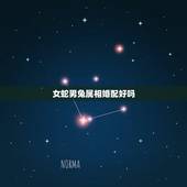 女蛇男兔属相婚配好吗，男兔女蛇配吗？