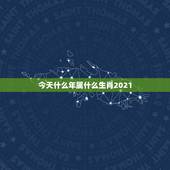 今天什么年属什么生肖2021，2021年2月12日属什么生肖