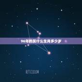 96年的属什么生肖多少岁，1996属什么，1996是什么生肖年