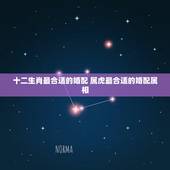 十二生肖最合适的婚配 属虎最合适的婚配属相