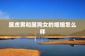 属虎男和属狗女的婚姻怎么样，属虎的男和属蛇的女结婚好吗