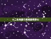 十二生肖哪个属相最有野心，十二生肖有哪些？