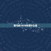 属马的1978年是什么命，1978年属马的到底是火命还是土命