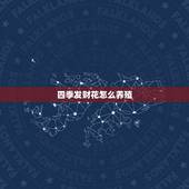 四季发财花怎么养殖，四季发财树与发财树养殖方法一样吗